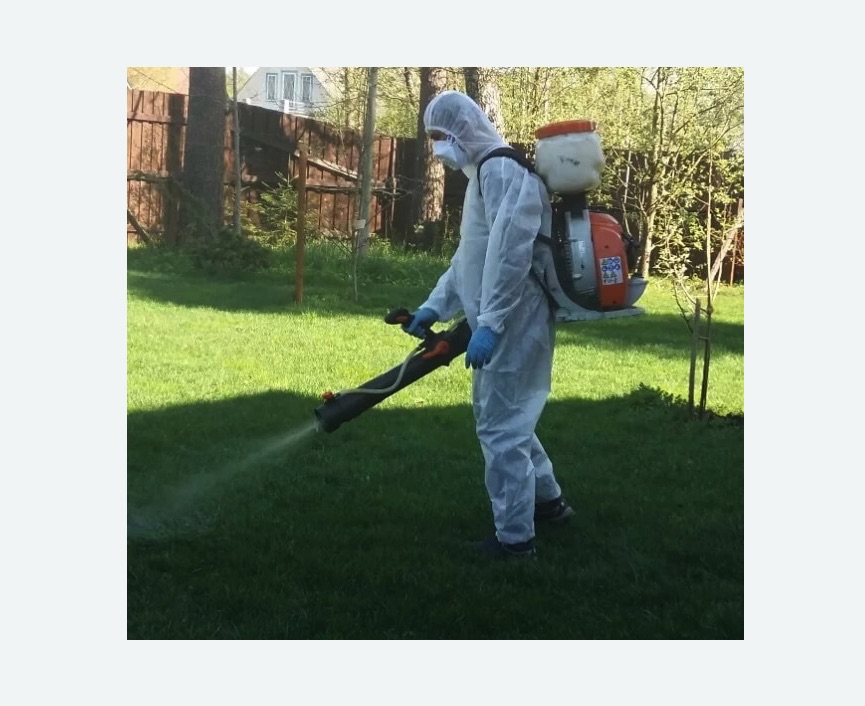 Обработка территории от клещей в Зеленограде