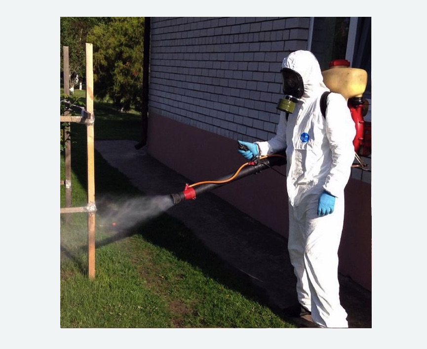 травля клещей на участке в Зеленограде