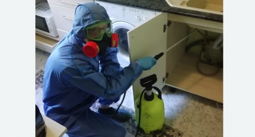 Уничтожение муравьев в квартире. Зеленоград