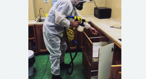 Дезинсекция квартиры. Зеленоград