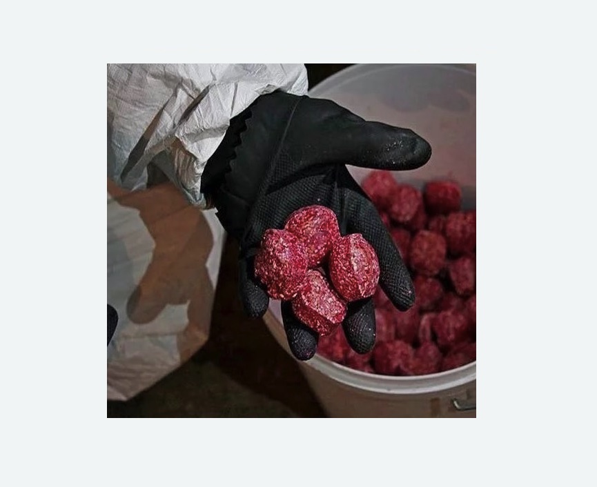 Обработка от крыс в Зеленограде