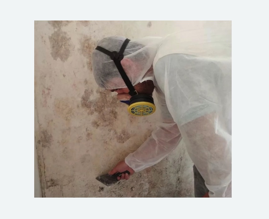 Обработка стен от плесени в Зеленограде