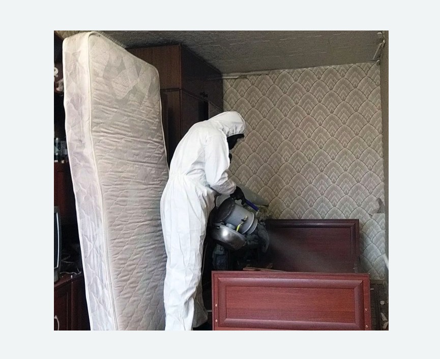 дезинфекция от клопов дезинфекция от клопов в Зеленограде