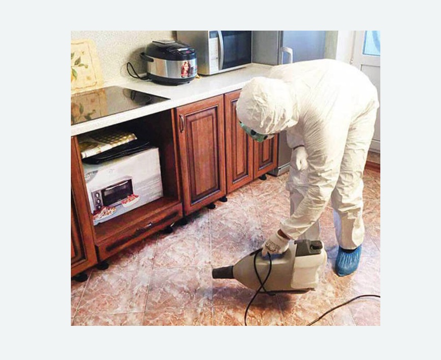 обработка квартиры от клопов в Зеленограде обработка квартиры от клопов