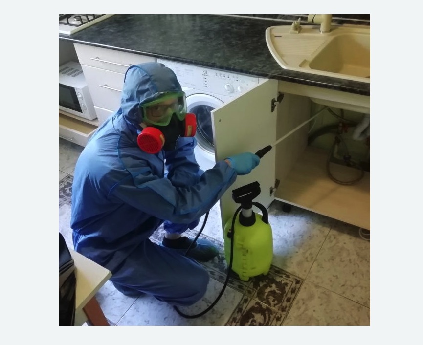 обработка от муравьев в квартире в Зеленограде