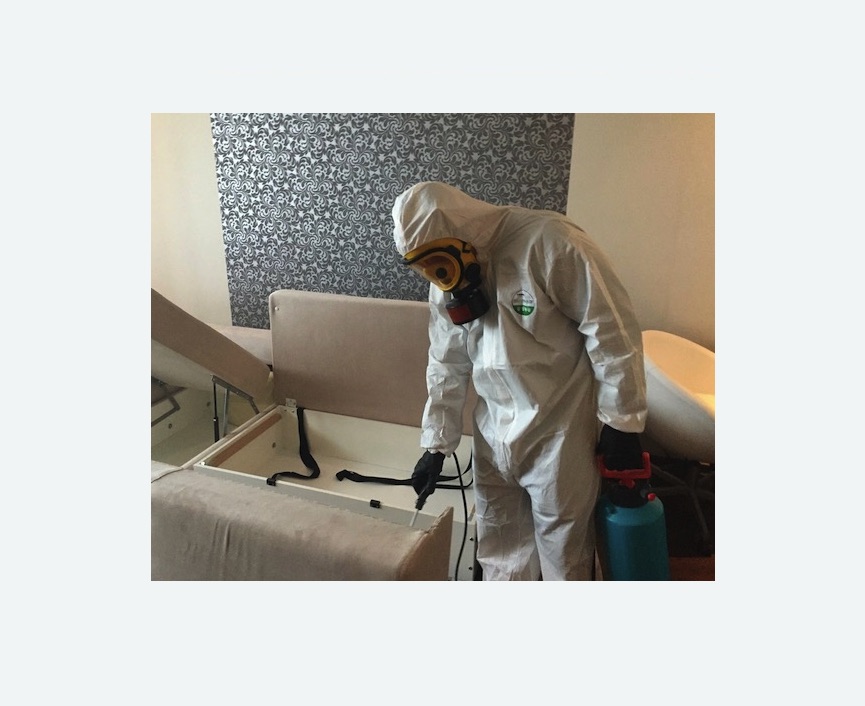 уничтожение клопов в квартире уничтожение клопов в квартире в Зеленограде