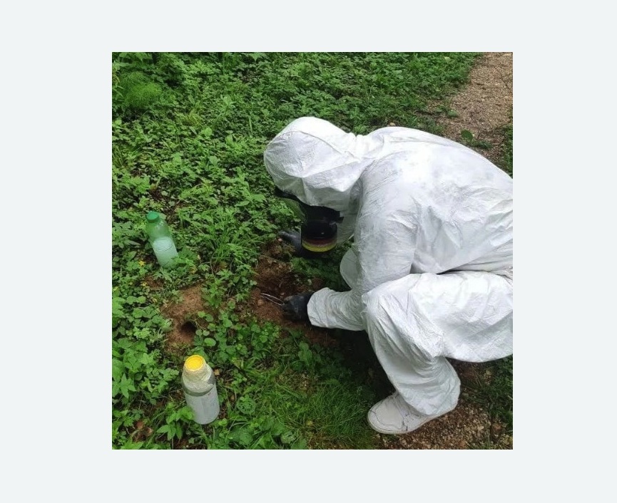 уничтожение кротов на участке в Зеленограде