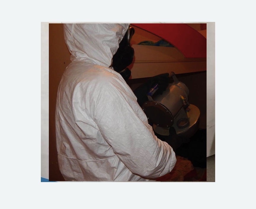 Дезинфекция от муравьев в Зеленограде