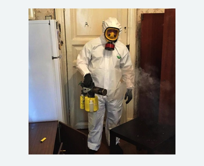 уничтожение муравьев в квартире в Зеленограде